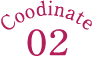 coodinate02