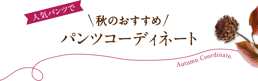 人気パンツで秋のおすすめパンツコーディネート